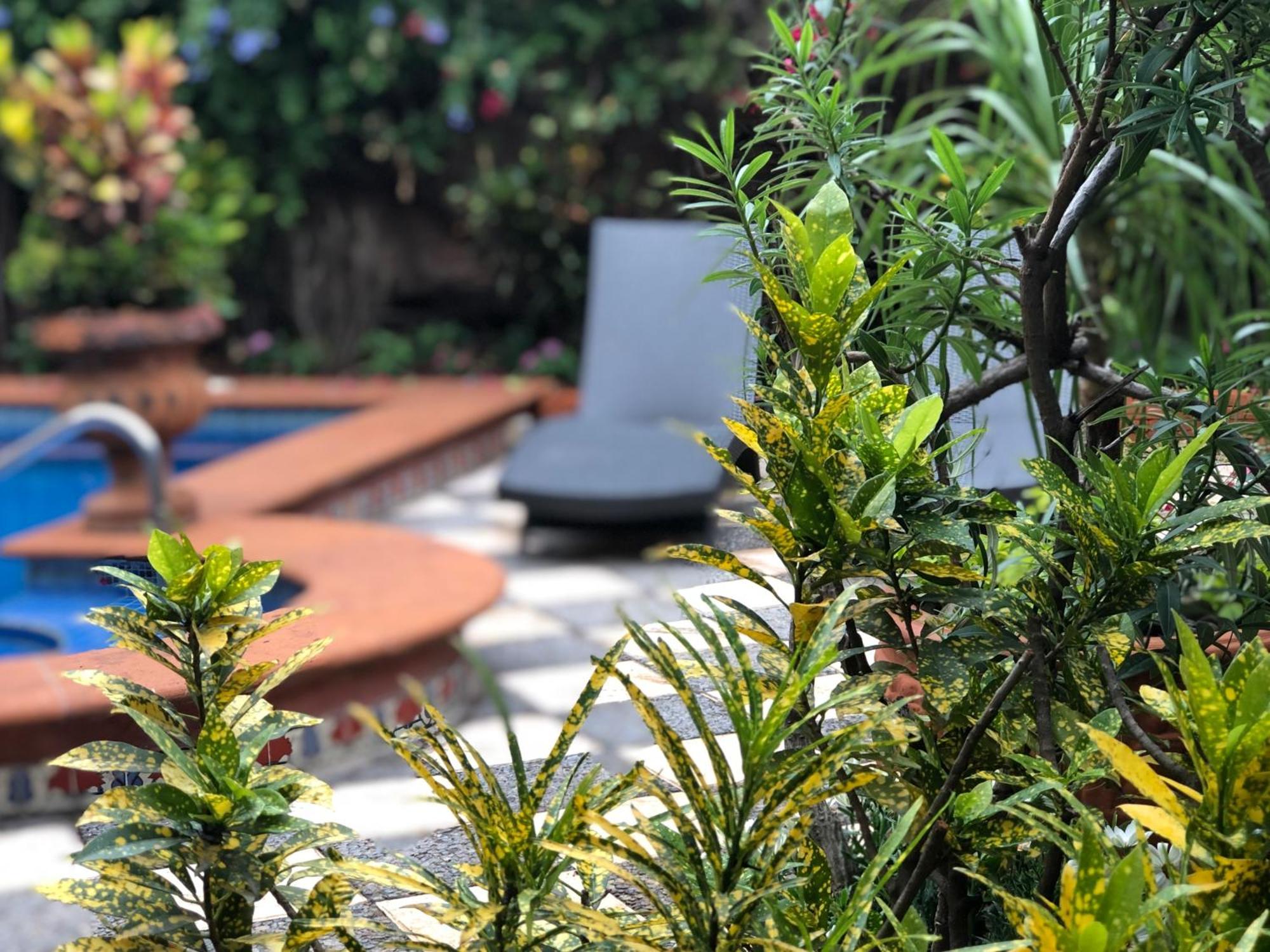 Casa Del Sol Inn Ajijic Exteriér fotografie